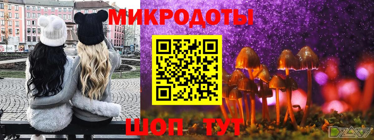 Псилоцибиновые грибы GOLDEN TEACHER Сланцы