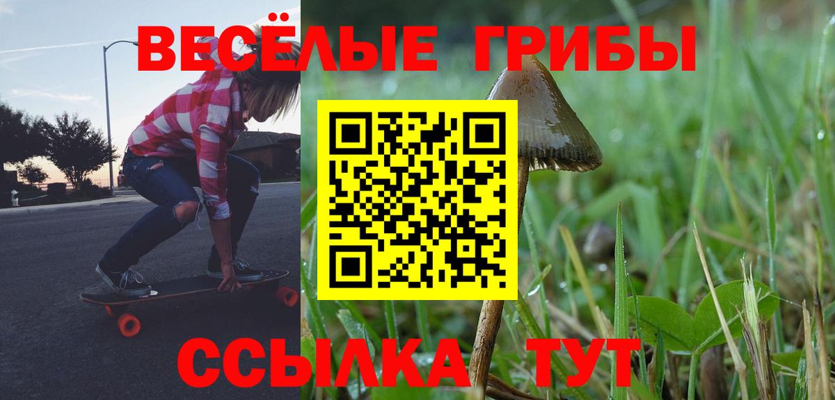 Псилоцибиновые грибы Psilocybine cubensis  Галлюциногенные грибы Magic Shrooms  Вход с VPN  Сланцы 